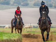 AK021025-46 - Believitanducan